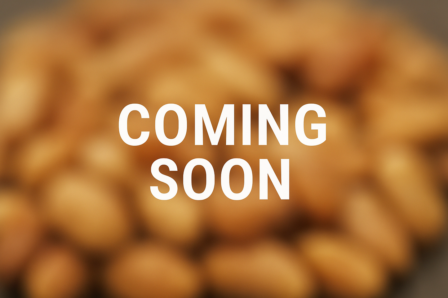 Ramya Roasted Peanuts